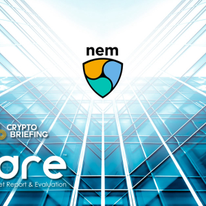 NEM Digital Asset Report: XEM Token Review And Investment Grade