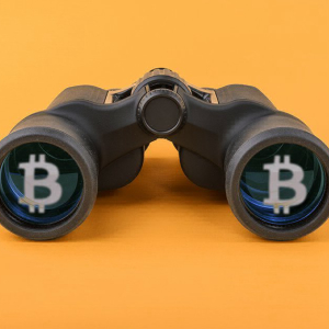 Bitcoin Still Undervalued Based on These On-Chain Indicators