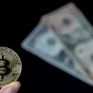 Bitcoin Cash Outshines Crypto Market Rally as Avg. BTC Transaction Fees Rise