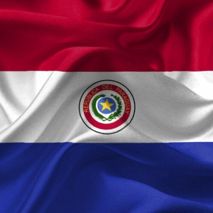 Bitcoin Becoming Legal Tender in Paraguay? Not So Fast, Says Congressman
