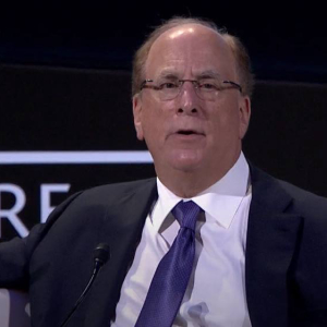 BlackRock CEO: ‘Bitcoin Has Caught the Attention and the Imagination of Many People’