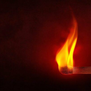 Latest 1 Billion $SHIB Burn Sends Shiba Inu Burn Rate to Over 12,000%