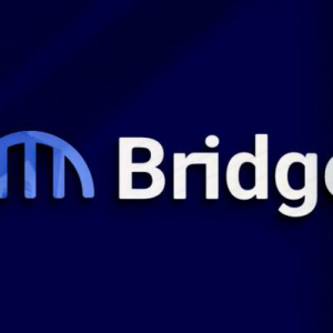 Bridge Network raises $3.8M to build better cross-chain experiences with backing from FTX Ventures
