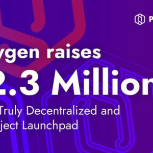Polygen Raises $2.3 Million For its Truly Decentralized and Pro-Project Launchpad