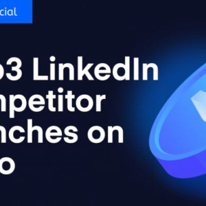 Decentralized Web3 LinkedIn Competitor Launches on DeSo