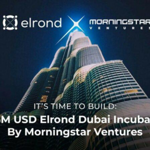 Morningstar Ventures Commits $15 Million USD To Invest In Projects Building On Elrond Network And Opens An Elrond Incubator in Dubai