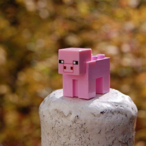 Minecraft Enacts Ban on Non-Fungible Tokens (NFTs)