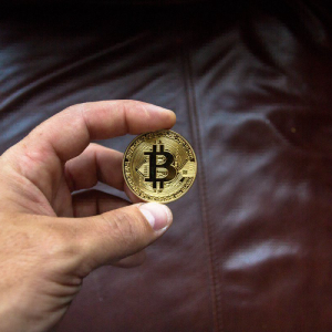 Nearly 80% of Crypto Investors Still Net-Invested in Bitcoin
