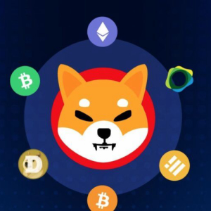 Shiba Inu: Major Crypto Payment Processor Says Its Debit Card Now Supports $SHIB