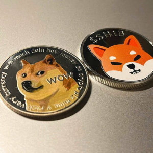 Shiba Inu ($SHIB) Tired, Shorting $DOGE Is ‘Like Stepping in Front of a Speeding Train’, Says Crypto Analyst