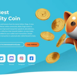 BNB Chain Powered Baby Doge Coin ($BABYDOGE) Prepares for Its First Birthday
