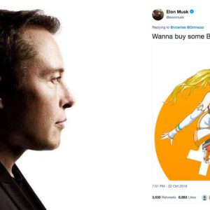 Elon Musk Tweets About Bitcoin, Gets Account Locked