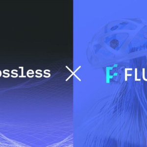 Fluid Partners With Lossless to Bring State-of-the-Art Defi Security and Hack Mitigation Capabilities