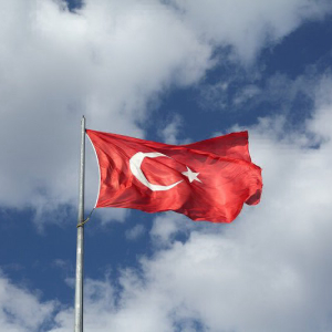 Alleged Crypto Wallet Hackers Arrested by Turkish Police