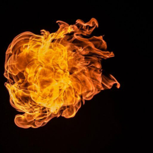 Nearly $500,000 Worth of $SHIB Burned Since Shiba Inu Burn Portal Launch