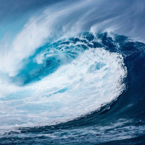 WAVES Has Risen 72% so Far This Month, Bucking the Bearish Trend