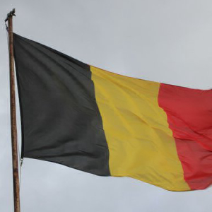 Belgium’s Financial Regulator Adds 7 Websites to Its Crypto Fraud List