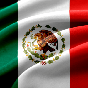 Mexican Senator Proposes Bill to Make Bitcoin Become Legal Tender in Her Country