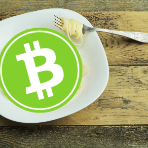 BCH Fork Nov. ’18: What a Day