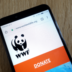 New WWF Project To Use NFTs to Save Animals