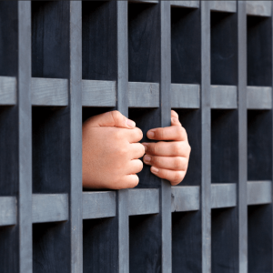 Japanese Crypto Tax Evader Hit with Year-long Jail Sentence