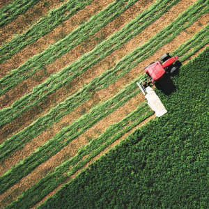 Yield Farming-boosted DeFi Set For New Fields With Old Challenges in 2021