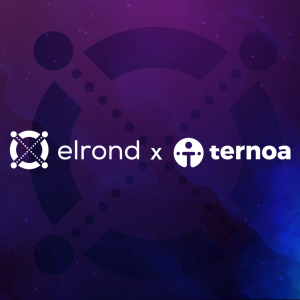 Ternoa Expands NFT Time Capsules' Compatibility Partnering with Elrond
