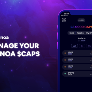 Ternoa’s Wallet to Include The Project’s Main Features in One Smart App