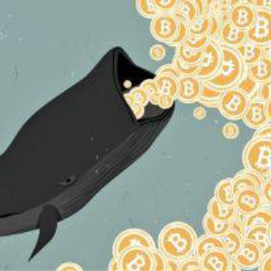 US Government Is Now Top Bitcoin Whale. What Could Happen Next?
