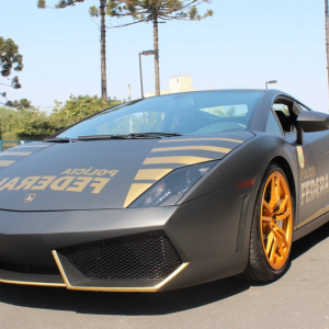 Confiscated Lambo Utilised for Education, Crypto Donations for Animals + More News