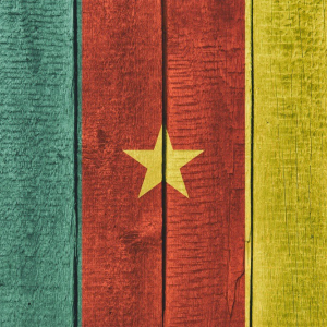 A separatist nation in Cameroon has created its own nation-backed cryptocurrency