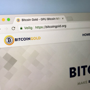 Bitcoin Gold delisted from major cryptocurrency exchange over compensation dispute