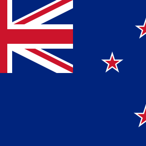 New Zealand flirting with digital currency plan, head banker reveals