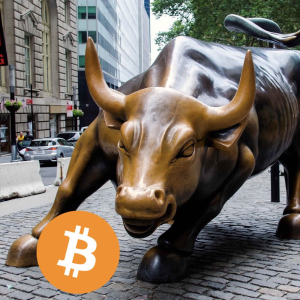 Bitcoin hits $8,000 because “it’s a great hedge against mainstream markets”