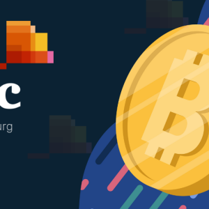PwC Luxembourg to Accept Bitcoin Payments from October