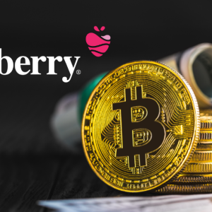 Coinberry Says that Accepting Bitcoin as Payment for Taxes is six times Cheaper than Bank Card Payments