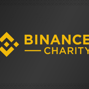 Binance Charity Foundation Raises $200,000 For Their Child Welfare Programme