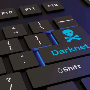 What Can You Buy on Darknet Using Bitcoin? Anything From Porn to Drugs !!