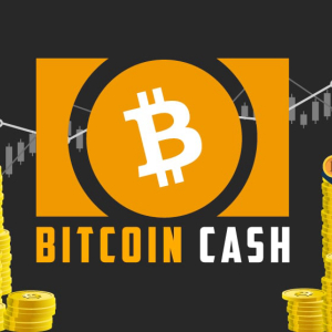 Bitcoin Cash (BCH) Predictions: Is Bitcoin Cash the Most Promising Crypto of Current Times?