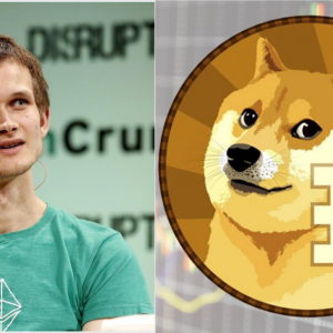 Dogecoin Finds New Supporter, As Vitalik Buterin Admits He Is Pro Dogecoin