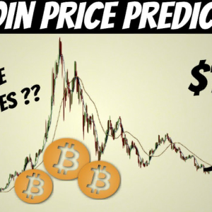 Bitcoin Crosses $11,000 Mark, Experts Predict $100,000 Price During The Next Bull Run