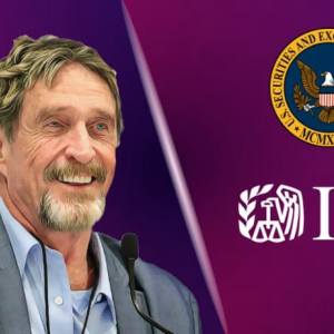 SEC and IRS Termed the Creation of Anonymous and Restricted DEX Wrong, Says John McAfee