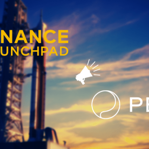 Binance Launchpad All Set to Launch Perlin Network Today