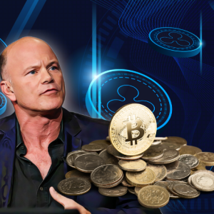 Michael Novogratz: Bitcoin has “one Store of Value,” While Other Cryptos are for Use