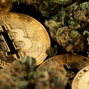 Berkeley City Council Member Becomes First Elected Official to Buy Cannabis with Cryptocurrency