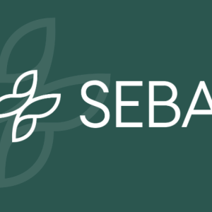 Seba Unveils New Crypto Index to Strengthen Its Investment Solutions Network