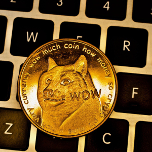 Dogecoin Can Be A profitable Long Term Investment