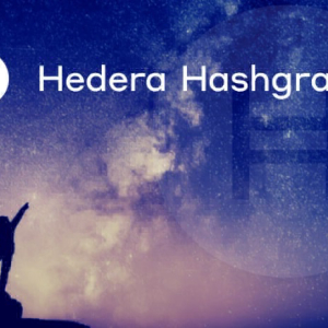 Hedera Hashgraph Postpones HABR Token Distribution to Investors