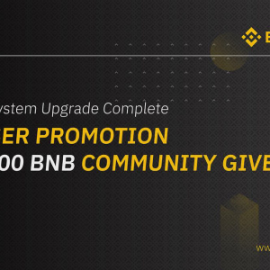 Binance Announces VIP User Promotion and Giveaway of 50,000 BNB Tokens