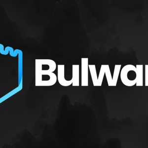 Bulwark Coin Faces The Strom After Another Crypto Controversy